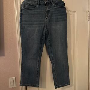 Judy Blue skinny fit capris 18w